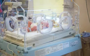 Noworodek leżący w inkubatorze na oddziale neonatologii szpitala Salve