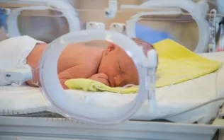 Noworodek w inkubatorze na oddziale położniczym szpitala Salve