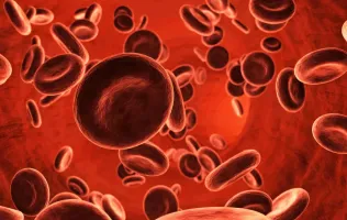 Płytki krwi z konfliktem serologicznym - Salve aktualności