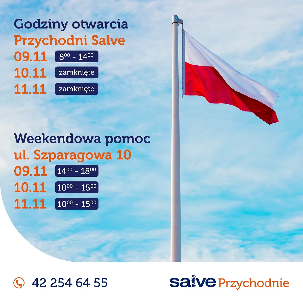 kwadrat-listopad-11-salve-infografika.webp [84.25 KB]