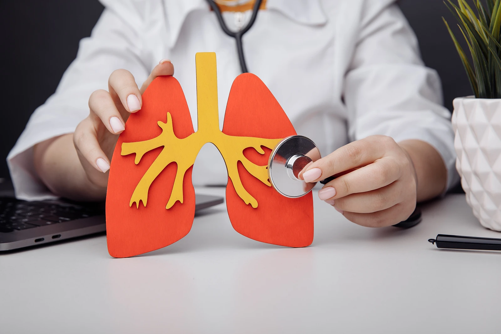 Dzień Zapalenia Płuc.webp [1.57 MB]