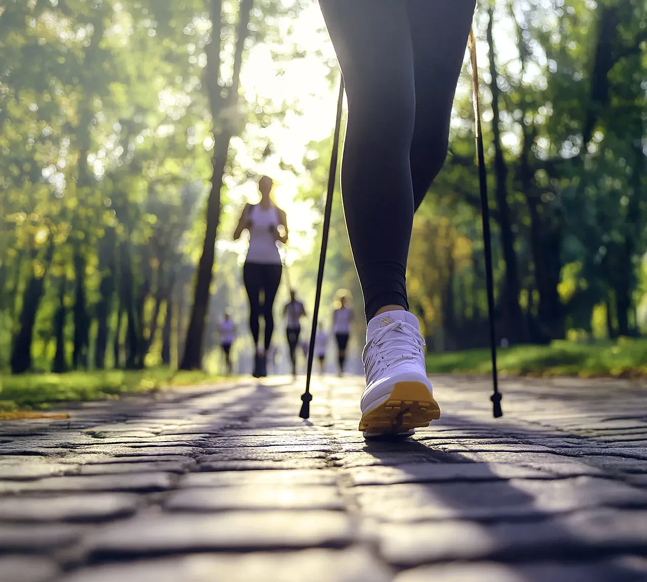 nordic-walking-w-lodzi-salve.webp [111.24 KB]
