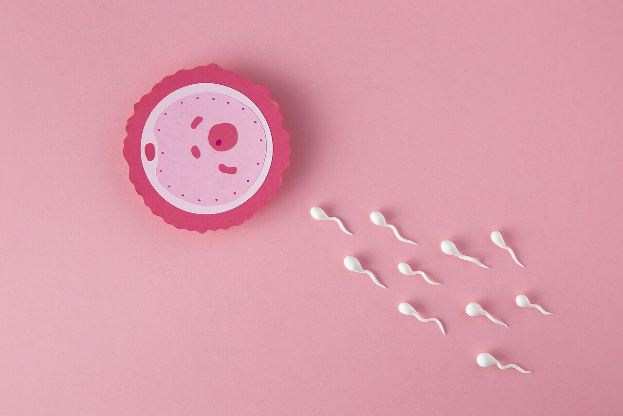oncofertility.jpg [237.36 KB]