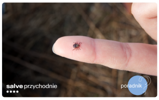 kleszcze-choroby-odkleszczowe-miniatura-salve-medica.png